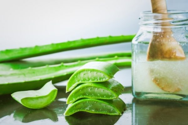 Công thức làm Gel nha đam