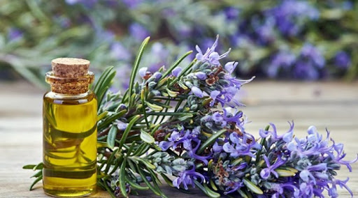 Bí quyết giúp mái tóc chắc khỏe từ các loại dầu, tinh dầu thiên nhiên